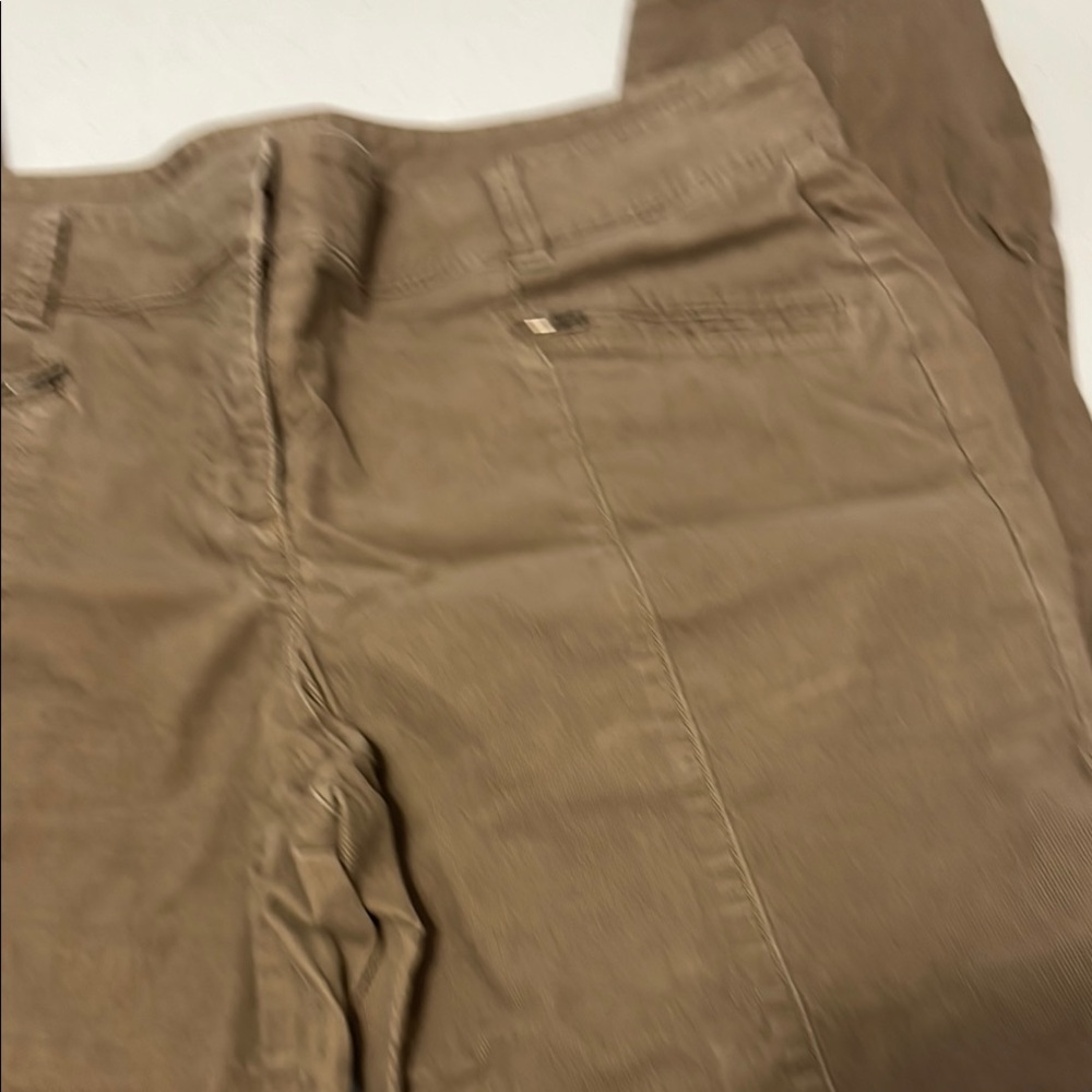 Ann Taylor Tan Chinos Straight-Leg Workwear